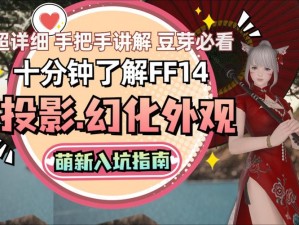 FF14投影模板使用指南：功能详解与应用技巧