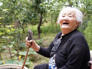 不同年龄的另类老妇的生活故事和经历