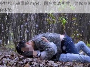 户外野战无码露脸 mp4，国产高清画质，给你身临其境的体验