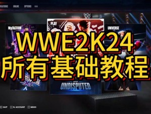 WWE 2K24系列游戏各版本价格分析及购买指南，了解最新游戏价值趋势