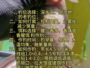 时刻钓鱼攻略：垂钓技巧分享与实战指南