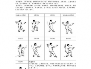 揭秘侠客拳法高伤害搭配攻略：拳法技能组合与战术应用解析