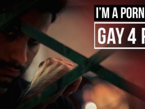 国产 GVGay 片 G 片 Gay 网：打造属于我们的网络世界