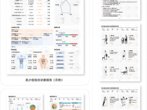 交错核心赋格强度的深度解析与评估：探讨其应用与表现优势