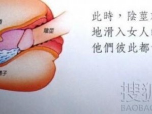 成人两性健康助手：专业解答两性问题