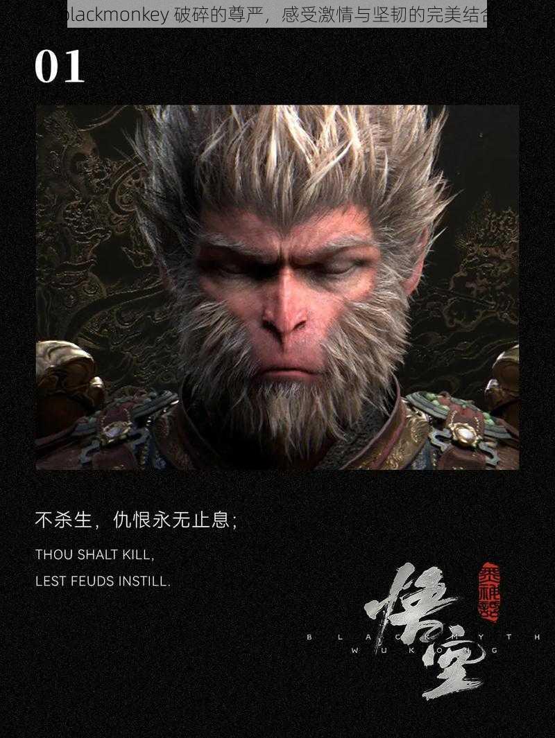 blackmonkey 破碎的尊严，感受激情与坚韧的完美结合