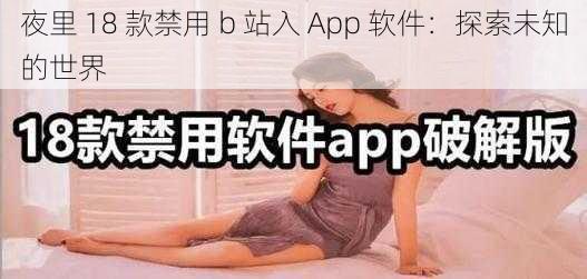 夜里 18 款禁用 b 站入 App 软件：探索未知的世界