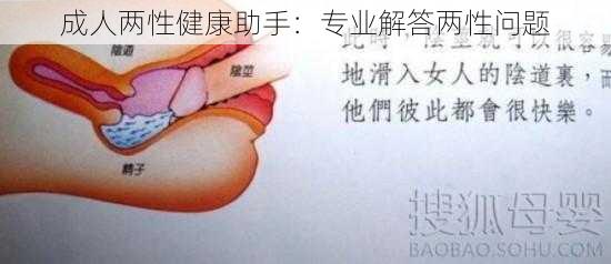 成人两性健康助手：专业解答两性问题