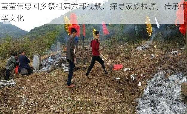 莹莹伟忠回乡祭祖第六部视频：探寻家族根源，传承中华文化