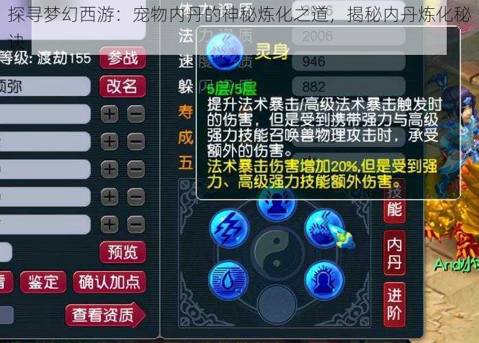 探寻梦幻西游：宠物内丹的神秘炼化之道，揭秘内丹炼化秘诀