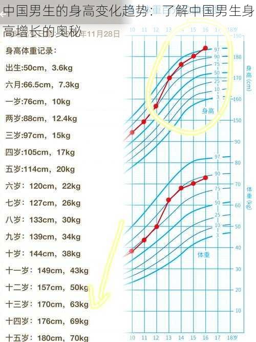 中国男生的身高变化趋势：了解中国男生身高增长的奥秘