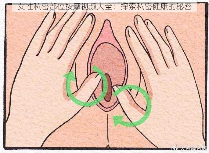 女性私密部位按摩视频大全：探索私密健康的秘密