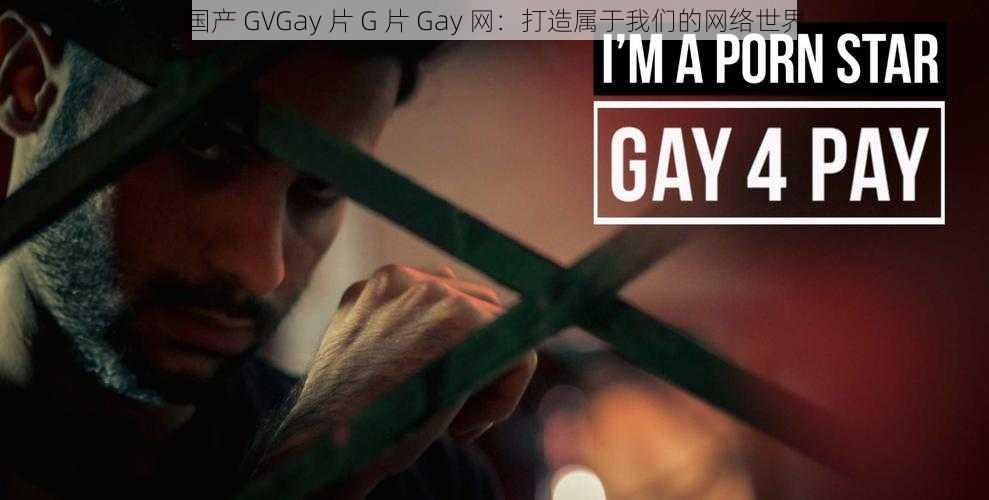 国产 GVGay 片 G 片 Gay 网：打造属于我们的网络世界