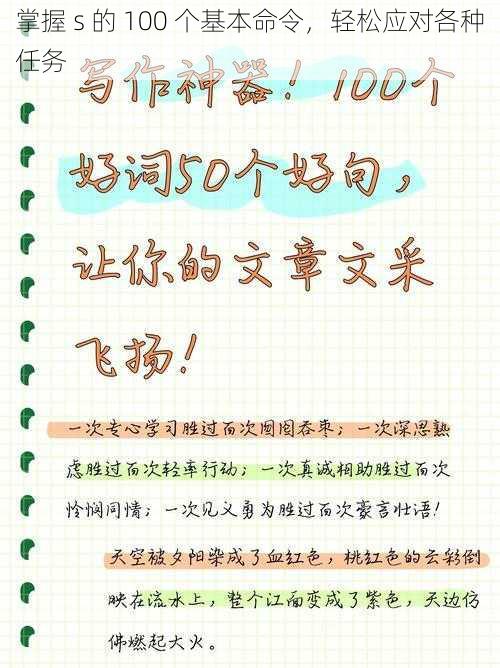 掌握 s 的 100 个基本命令，轻松应对各种任务