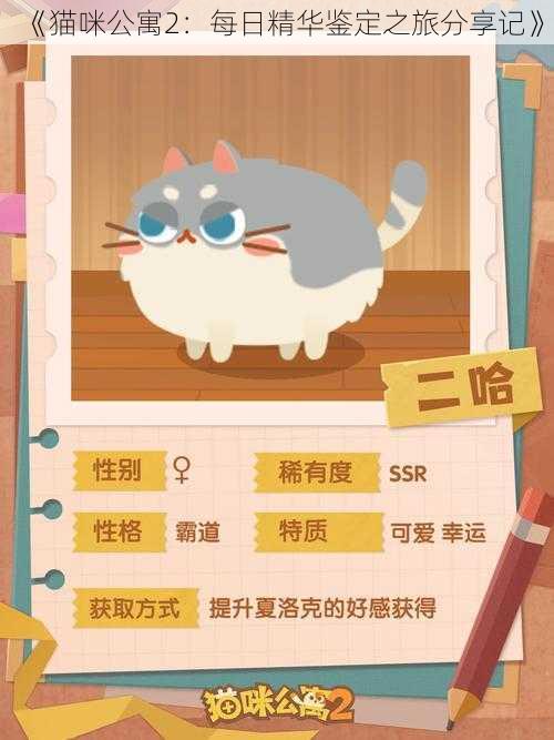 《猫咪公寓2：每日精华鉴定之旅分享记》