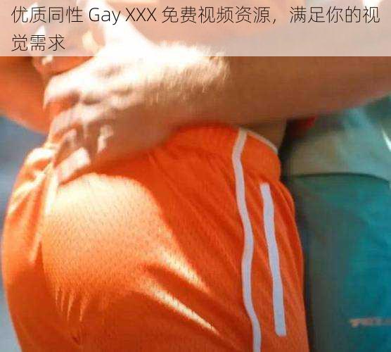 优质同性 Gay XXX 免费视频资源，满足你的视觉需求