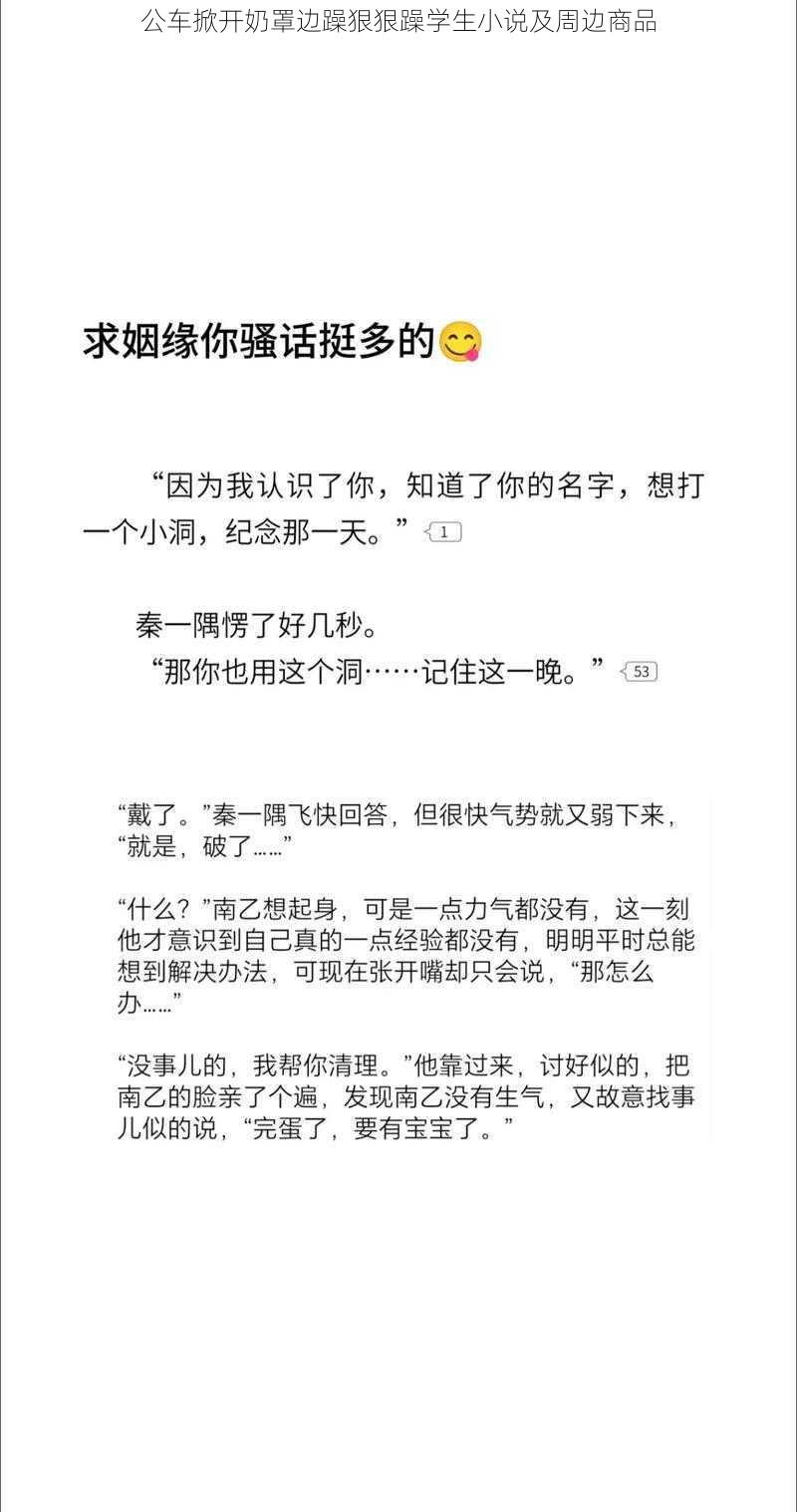 公车掀开奶罩边躁狠狠躁学生小说及周边商品