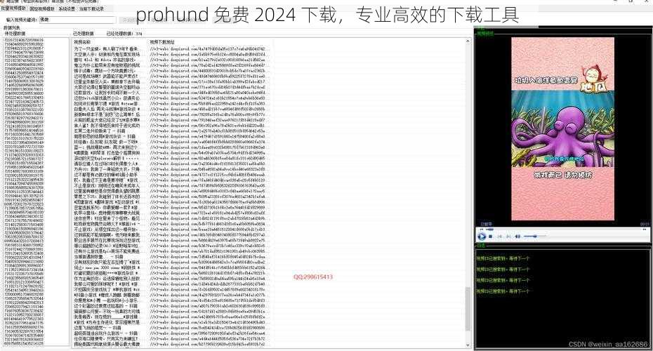 prohund 免费 2024 下载，专业高效的下载工具