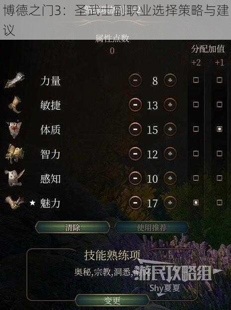 博德之门3：圣武士副职业选择策略与建议