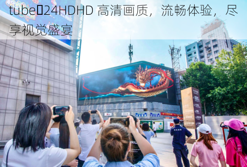 tube 24HDHD 高清画质，流畅体验，尽享视觉盛宴