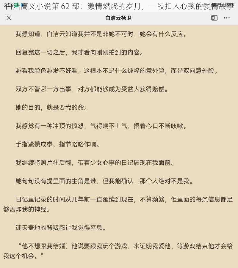 白洁高义小说第 62 部：激情燃烧的岁月，一段扣人心弦的爱情故事